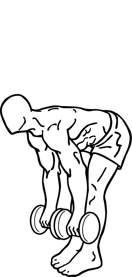 Dumbbell DeadLifts 3 Dumbbell Deadlifts 2