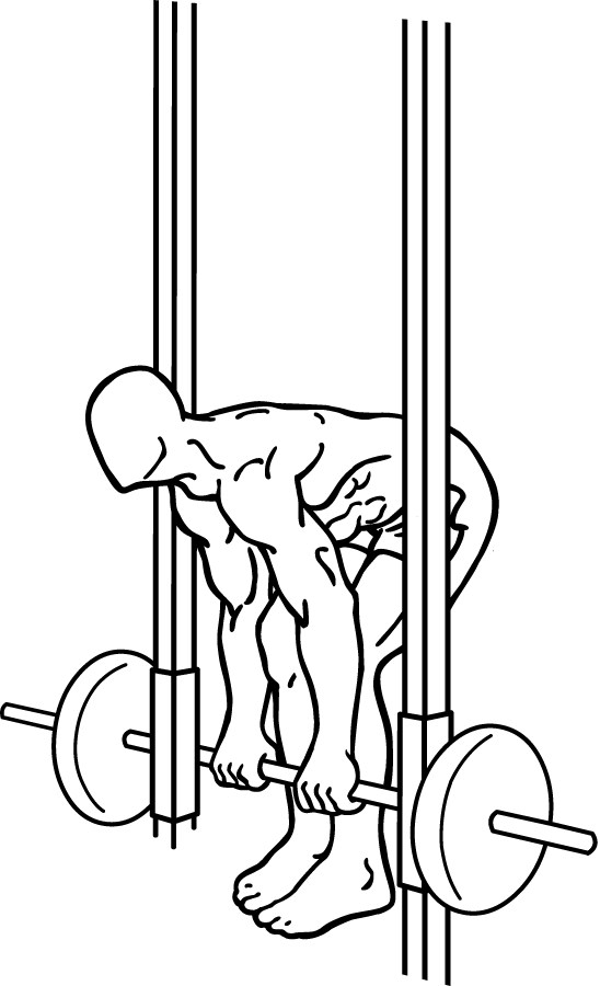 Smith Machine DeadLift 3 Smith Machine DeadLift 2