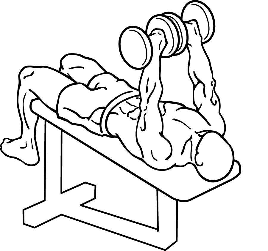 Decline Dumbbell Bench Press 3 decline dumbbell bench press 1