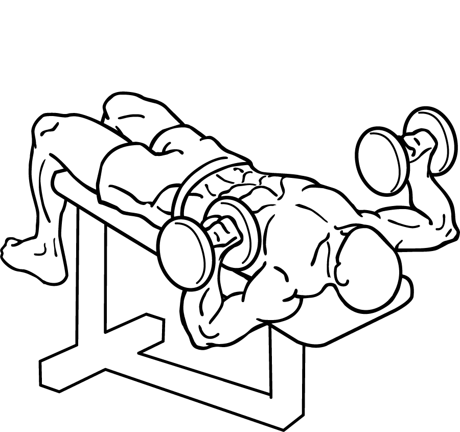 Decline Dumbbell Bench Press 2 decline dumbbell bench press 2