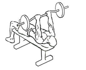 Decline EZ Bar Triceps Extension with Barbell 5 decline ez bar triceps extension 2