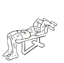 Decline Triceps Extension with Dumbbell 4 decline triceps extension 1