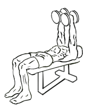 Decline Triceps Extension with Dumbbell 5 decline triceps extension 2