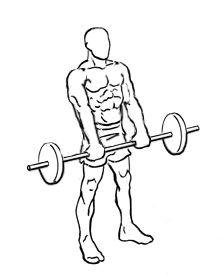 Drag Curl with a Barbell 4 Drag Curl with a Barbell 1