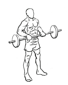 Drag Curl with a Barbell 5 Drag Curl with a Barbell 2