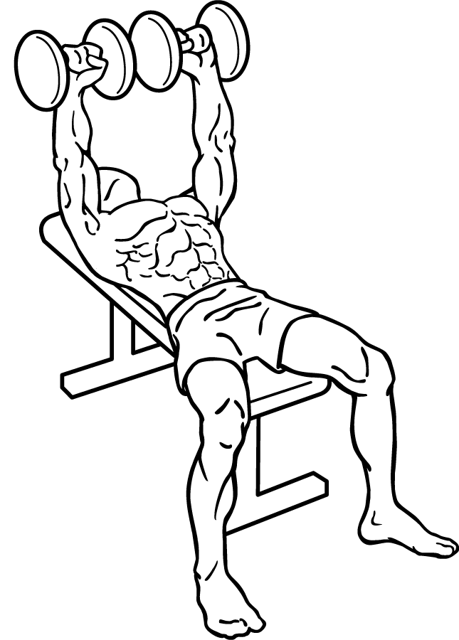 dumbbell bench press 1