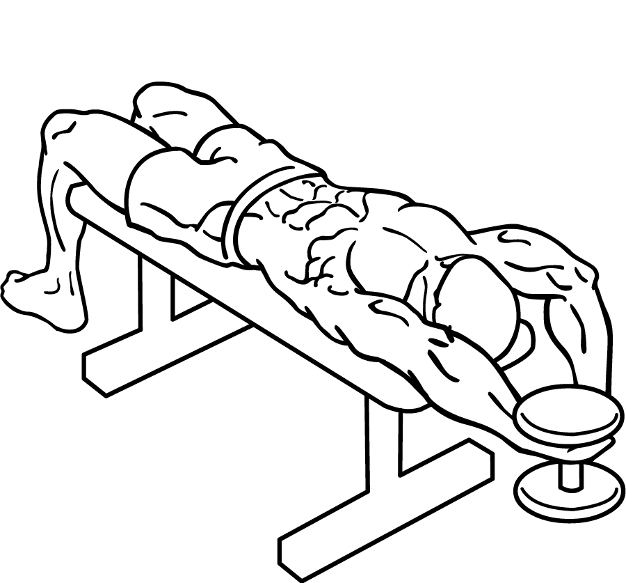 dumbbell bent arm pullover 2