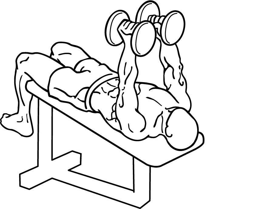 Decline Dumbbell Flyes 3 Decline Dumbbell Flyes 1