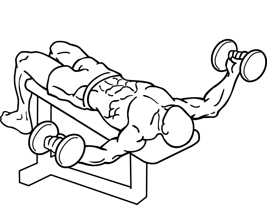 Decline Dumbbell Flyes 2 Decline Dumbbell Flyes 2