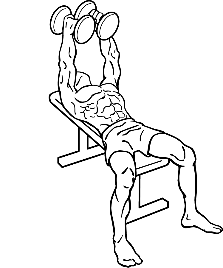 dumbbell flyes 1