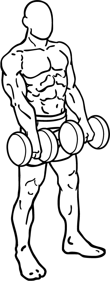 Front Dumbbell Raise 2