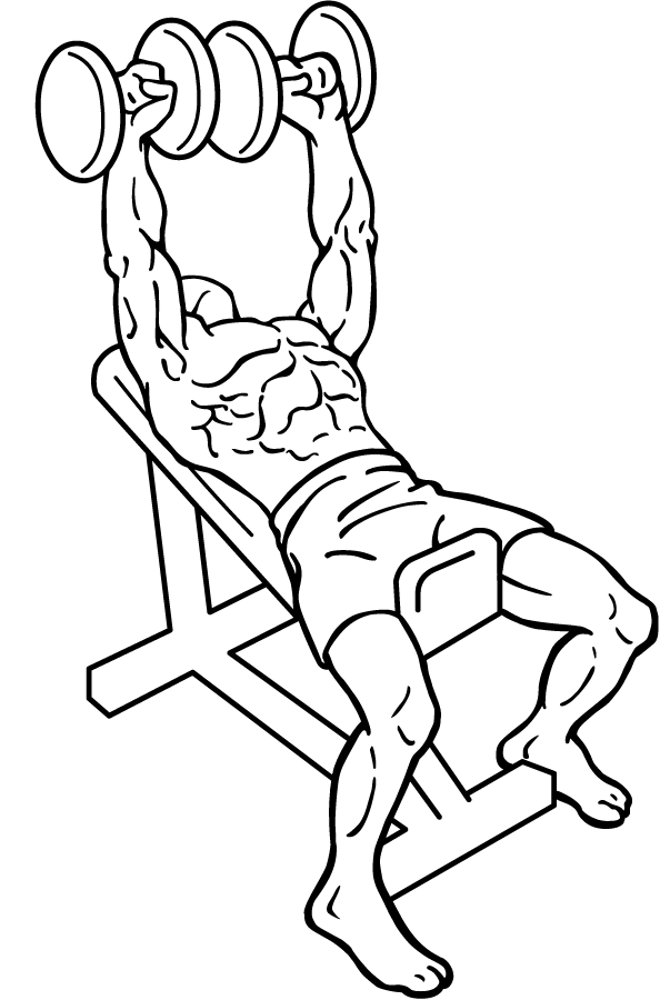 Dumbbell Incline Bench Press 2 dumbbell incline bench press 1