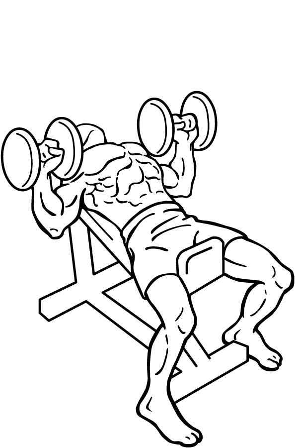 Dumbbell Incline Bench Press 3 dumbbell incline bench press 2