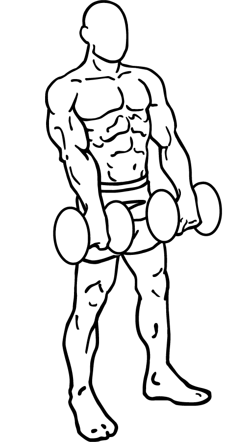 dumbbell raise 2
