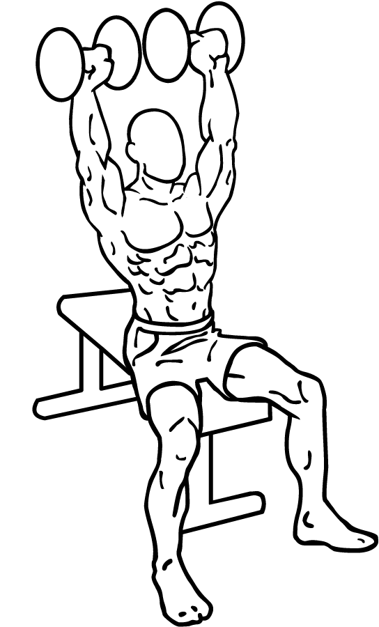 dumbbell shoulder press 1