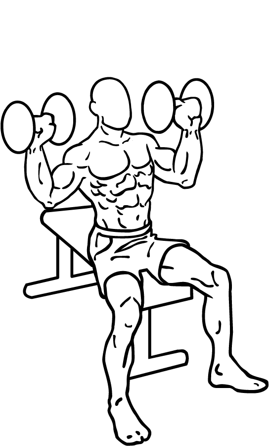 dumbbell shoulder press 2