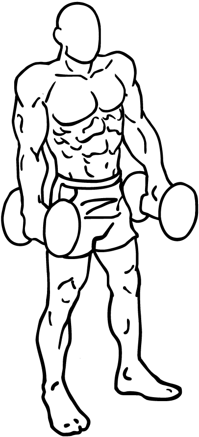 Shoulder Shrugs 3 Shoulder shrugs 1