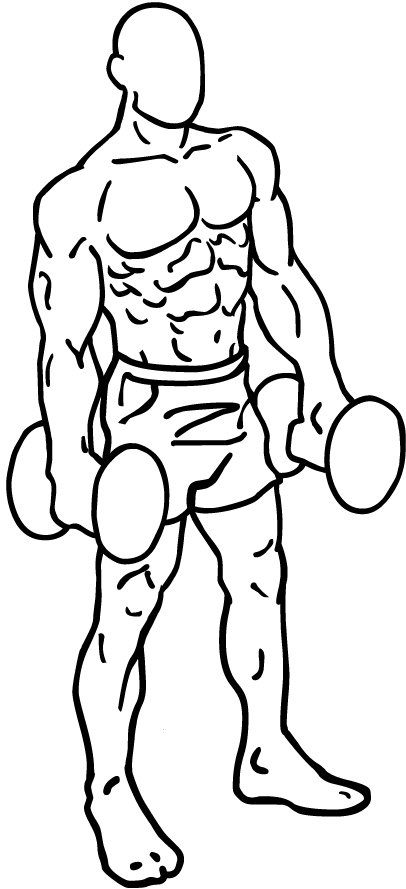 Shoulder Shrugs 2 Shoulder shrugs 2