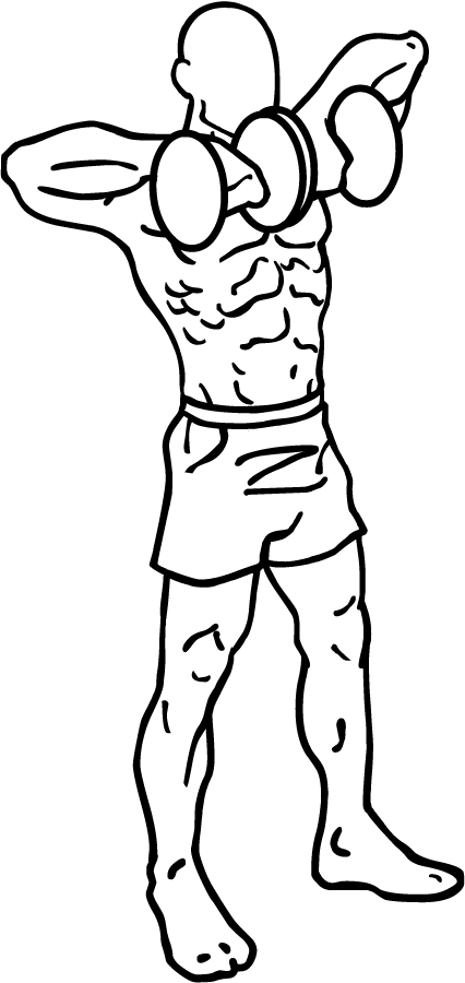 Dumbbell Upright Rows 3 dumbbell upright rows 1