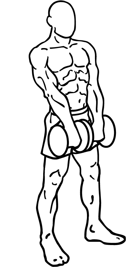 Dumbbell Upright Rows 2 dumbbell upright rows 2