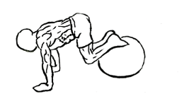 Exercise Ball Pull-In 5 exercise ball pull in 2