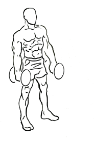 forward lunge with bicep curl 1