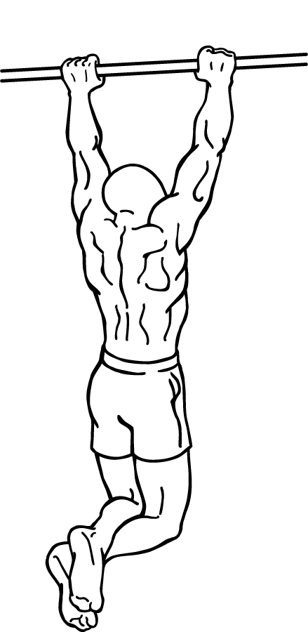 Gironda Sternum Chins 2 gironda sternum chins 2