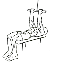 high cable curls 1