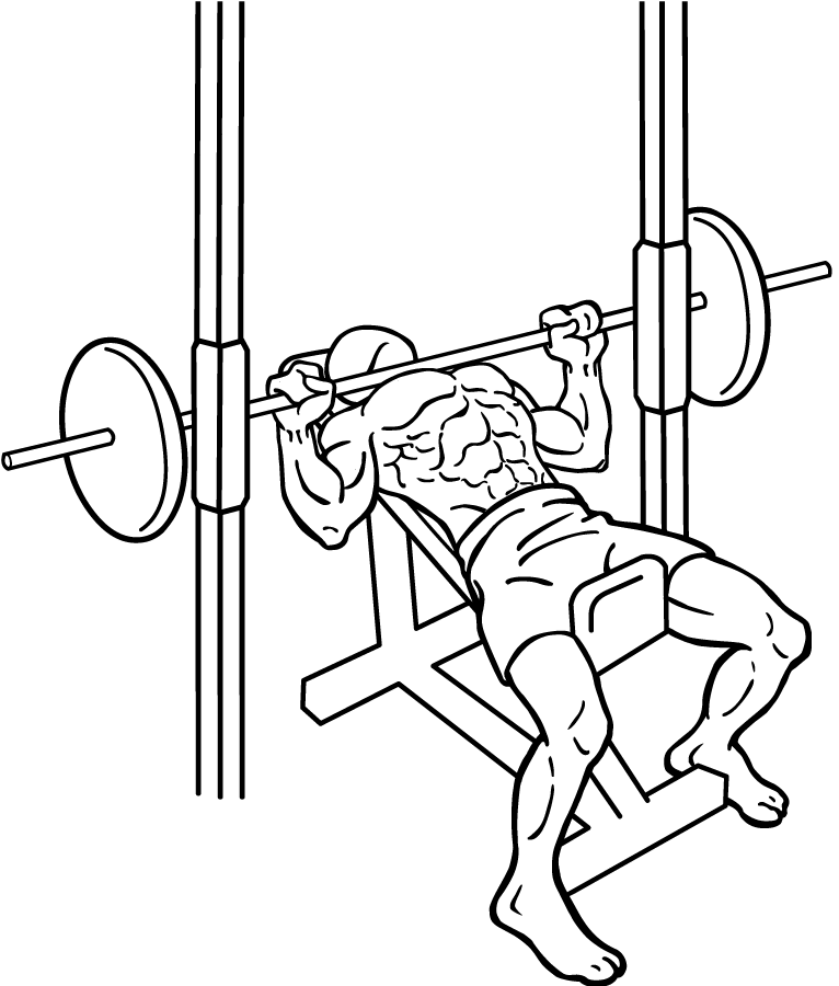 Smith Machine Incline Bench Press 2