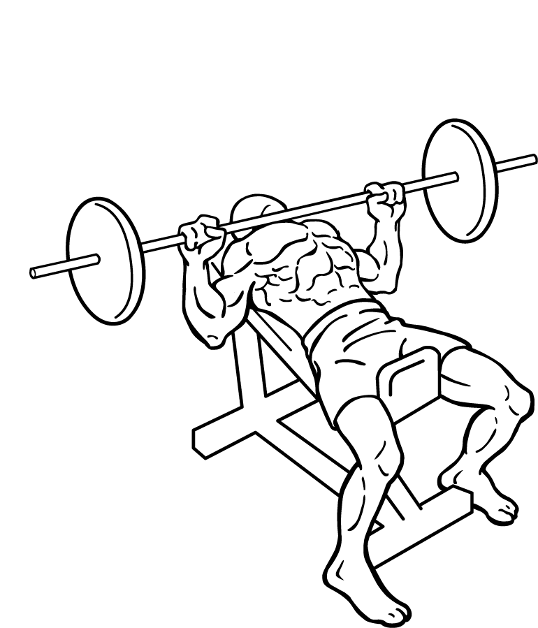 Incline Bench Press 3 incline bench press 2