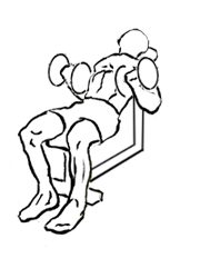 Incline Biceps Curl with Dumbbell: The Ultimate Biceps Builder 5 Incline Biceps Curl with Dumbbell 2