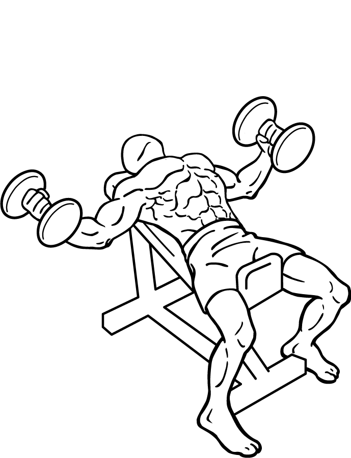 incline flys with a twist 2