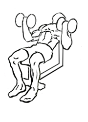 Incline Inner Biceps Curl with Dumbbell: Mastering the Art of Bicep Isolation 5 Incline Inner Biceps Curl with Dumbbell 2