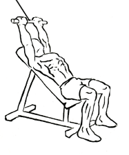 Incline Pushdown with Cable 1