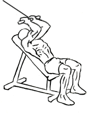 Incline Triceps Extension with Cable 5 Incline Triceps Extension with Cable 1