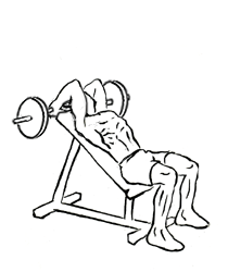 Incline Triceps Extension with Barbell 5 Incline Triceps Extension with Barbell
