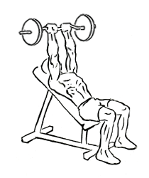 Incline Triceps Extension with Barbell 4 Incline Triceps Extension with Barbell