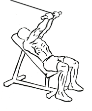 Incline Triceps Extension with Cable 4 Incline Triceps Extension with Cable 2