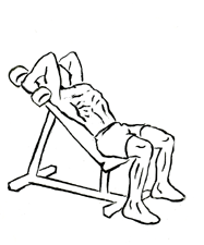 Incline Triceps Extensions with Dumbbell 5 Incline Triceps Extensions with Dumbbell