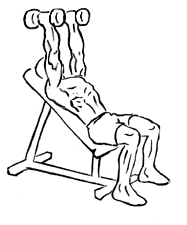 Incline Triceps Extensions with Dumbbell 4 Incline Triceps Extensions with Dumbbell