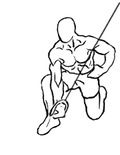 Kneeling Triceps Concentration Extension with Cable: A Focused Approach to Triceps Strength 5 Kneeling Triceps Concentration Extension with Cable 2