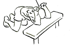 Kneeling Triceps Extension with Cable 4 Kneeling Triceps Extension with Cable 1