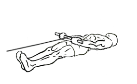lying bicep cable curl 1