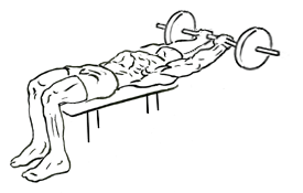 Lying Close-Grip Triceps Extension Behind the Head with Barbell 4 Lying Close-Grip Triceps Extension Behind the Head 2