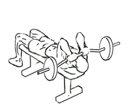 Lying Close Grip Triceps Press to Chin with Barbell 5 lying close grip triceps press to chin 1