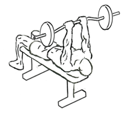 Lying Close Grip Triceps Press to Chin with Barbell 4 lying close grip triceps press to chin 2