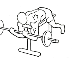 Lying High Bench Biceps Curl with Barbell 5 lying high bench biceps curl 2