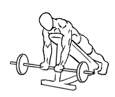 Lying Incline Curl with a Barbell 4 Lying Incline Curl with a Barbell 1