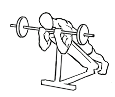 Lying Incline Curl with a Barbell 5 Lying Incline Curl with a Barbell 2
