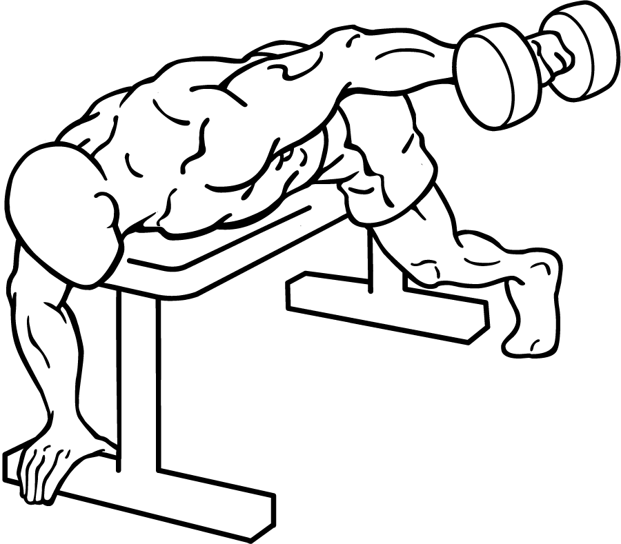 Lying One-Arm Rear Lateral Raise 2 lying one-arm rear lateral raise 1
